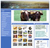 Chimalis LLC Website Design: Town government